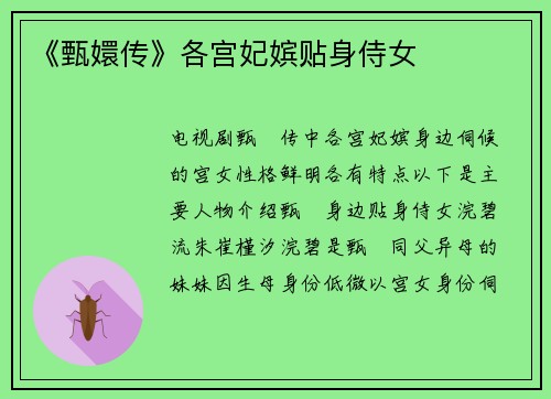 《甄嬛传》各宫妃嫔贴身侍女