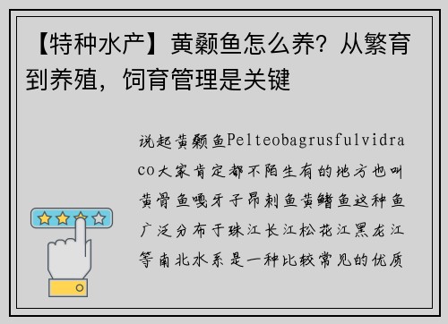 【特种水产】黄颡鱼怎么养？从繁育到养殖，饲育管理是关键